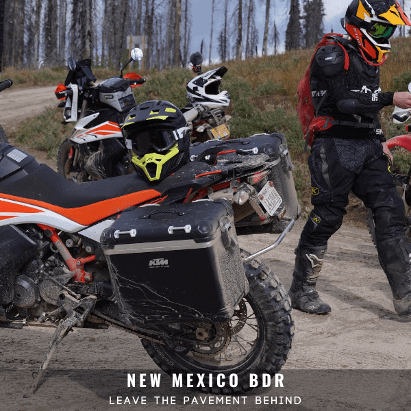 New Mexico BDR